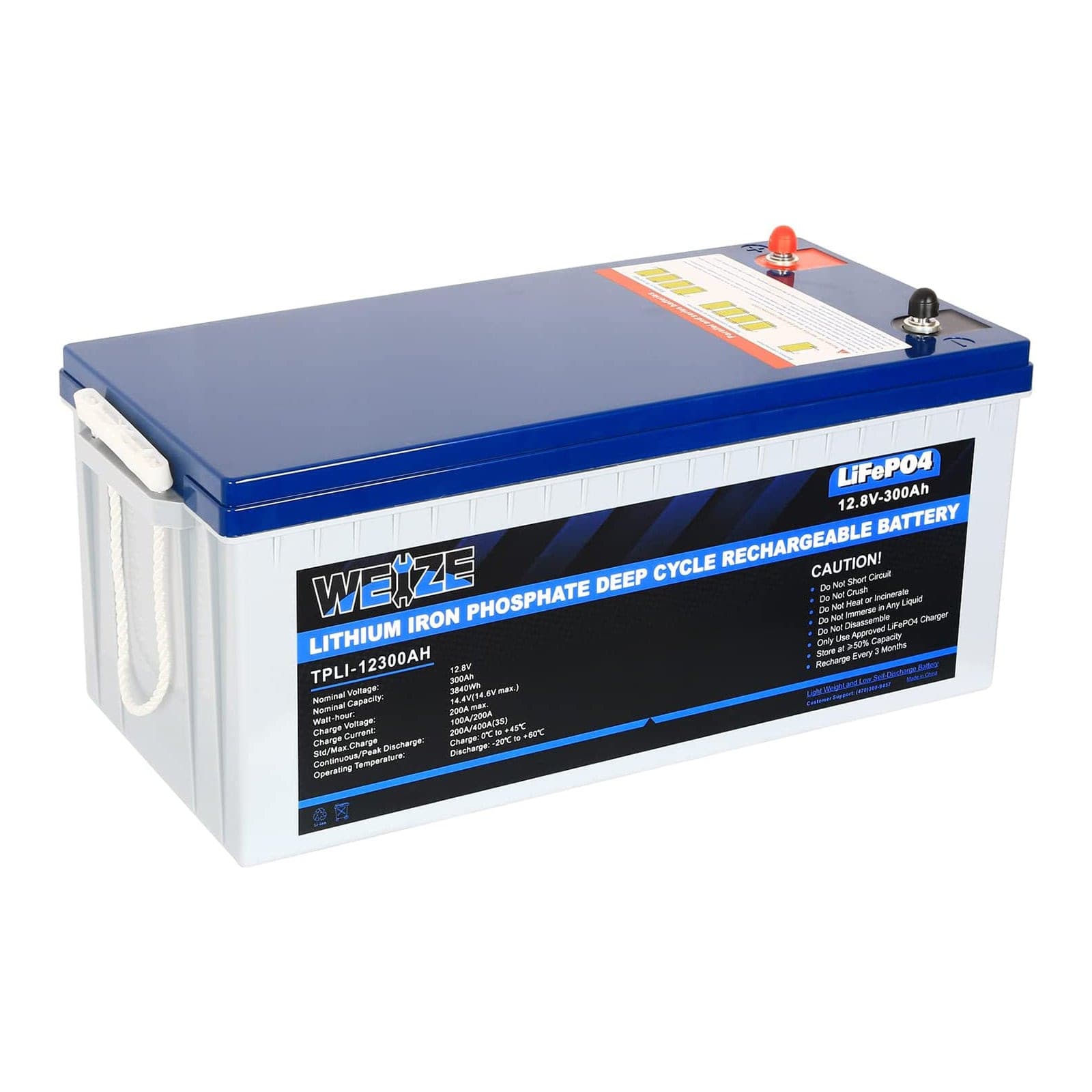 WEIZE 12V 100Ah Mini LiFePO4 Lithium Battery, Built-in 100A Smart BMS