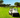 LiFePO4 Golf Cart Batteries: The Ultimate Power Solution for Your Cart