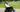 How Many Batteries Does an Electric Wheelchair Have？
