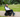 How Many Batteries Does an Electric Wheelchair Have？