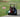 Dead-Golf-Cart-Batteries-Weize-48V-LiFePO4-Lasts-4X-Longer-Than-Lead-Acid WEIZE