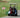 Dead-Golf-Cart-Batteries-Weize-48V-LiFePO4-Lasts-4X-Longer-Than-Lead-Acid WEIZE