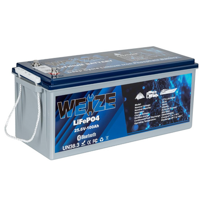 WEIZE 24V 100AH Bluetooth LiFePO4 Deep Cycle Lithium Battery