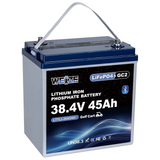 WEIZE 36V 45AH GC2 Bluetooth Golf Cart LiFePO4 Lithium Battery