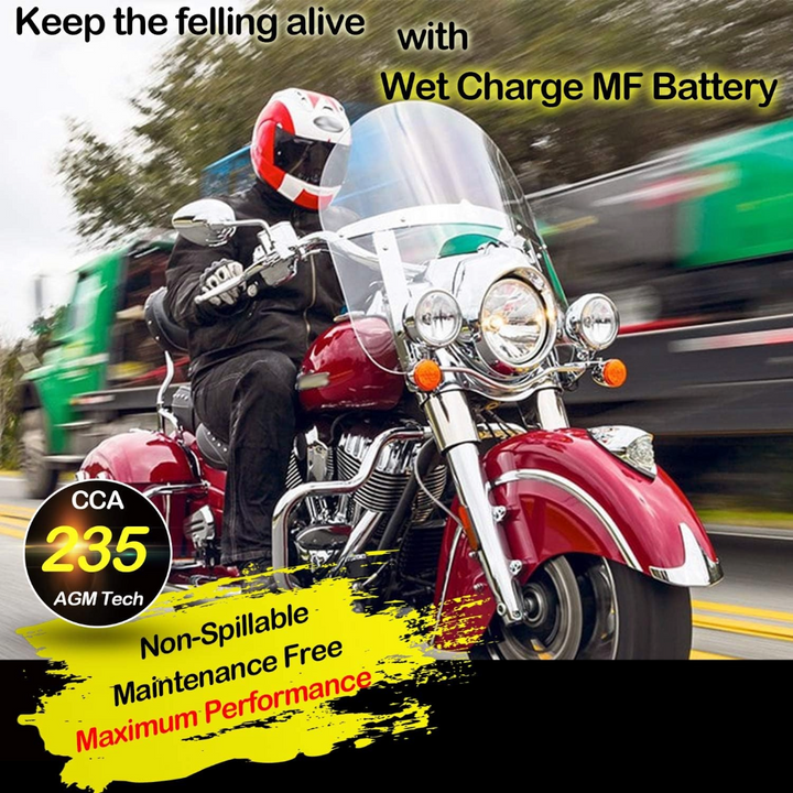 Weize YTX9-BS Maintenance Free Lead-Acid Battery For Motorcycle, ATV,  Honda, Polaris, Suzuki